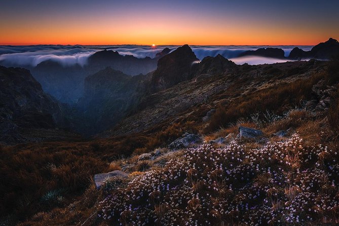 Madeira Top Sunrise - Group Size and Pricing