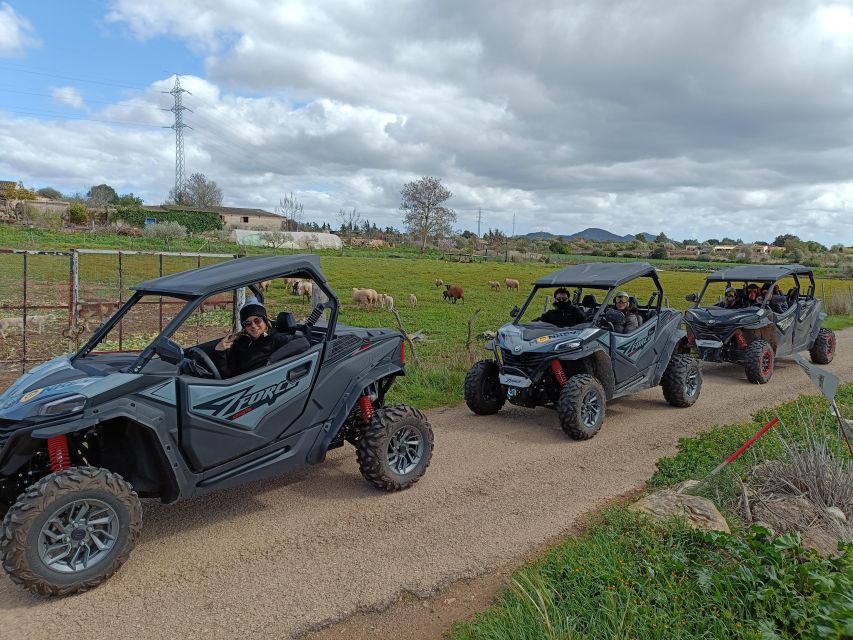 Mallorca: Mountain Buggy Adventure With Secret Coves Tour - Flexible Route Options Available