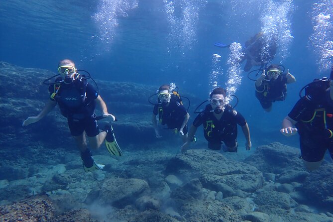 Mallorca: Try Scuba Diving in a Beautiful Nature Reserve - Meeting Point and Pickup Location