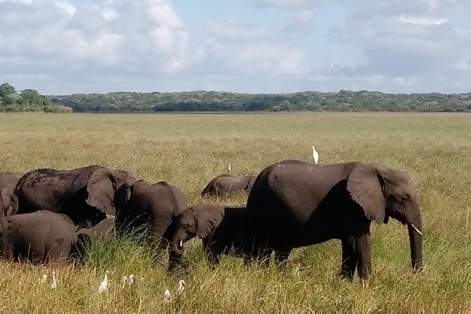 Maputo National Park (Maputo Special Reserve) Full-day Tour - Inclusions and Amenities