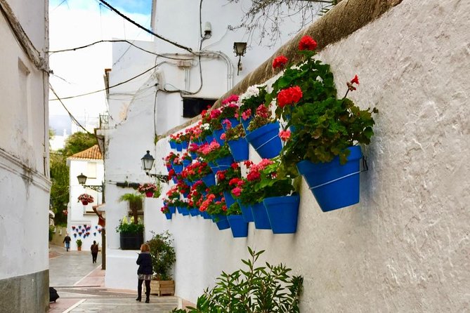 Marbella Old Town Group Tour With a True Local - Tasting Local Delicacies