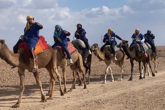 Marrakech: Camel Ride in the Palm Grove - Participant Information