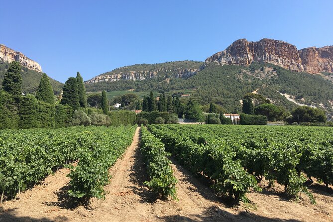 Marseille Shore Excursion - Private Full Day Wine Tour in Provence - Additional Information