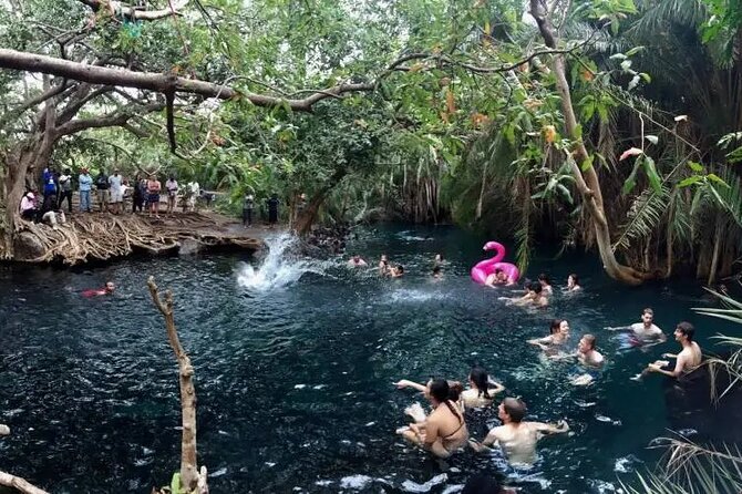 Materuni Waterfalls Coffee Tour & Chemka Hot Springs Day Trip - Logistical Details