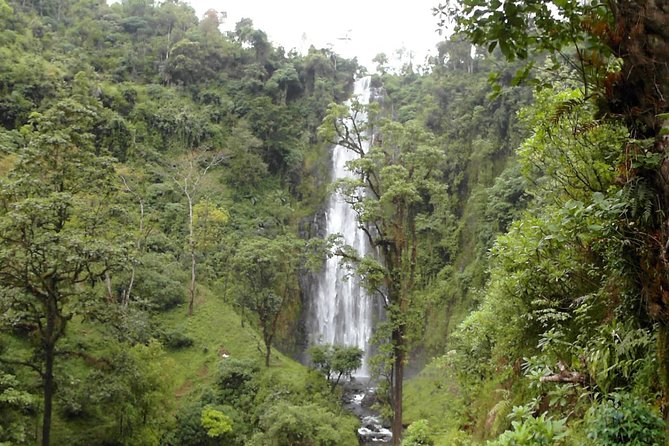 Materuni Waterfalls & Coffee Tour From Moshi - Cancellation Policy