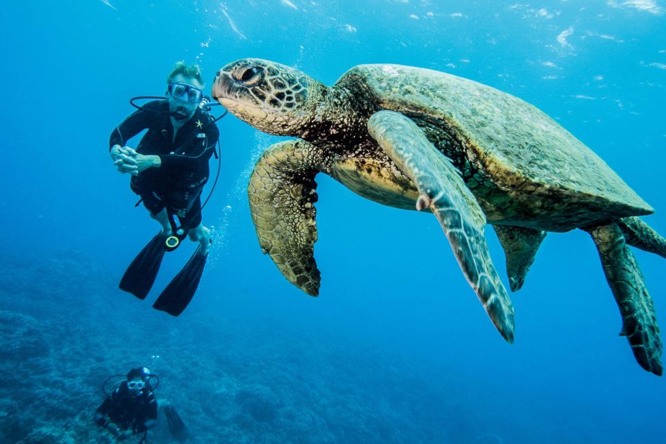 Maui: Beginner Discovery Scuba Dive Excursion From Lahaina - Required Scuba Equipment