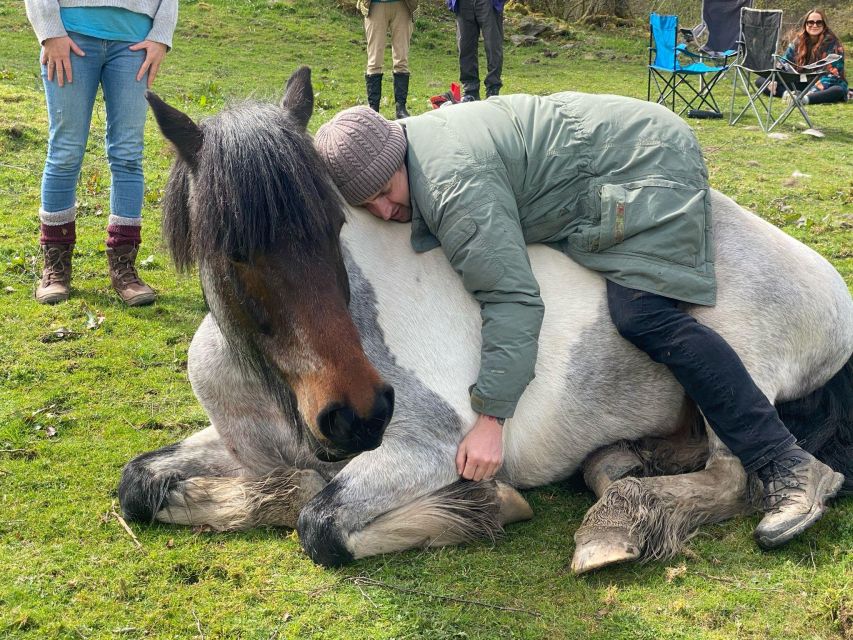 Meditate With Horses - Breath Work and Relaxation