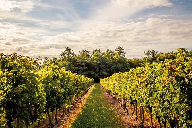 Médoc Region Half-Day Wine Tour With Winery Visit & Tastings From Bordeaux - Transport Details