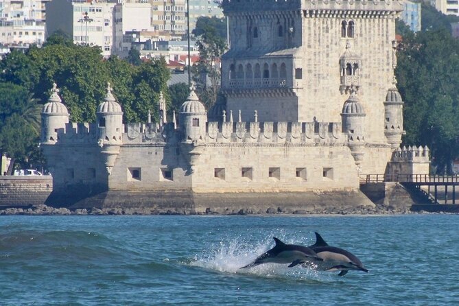 Meet the Lisbon Dolphins - Dolphin Watching in Lisbon - Inclusions and Amenities