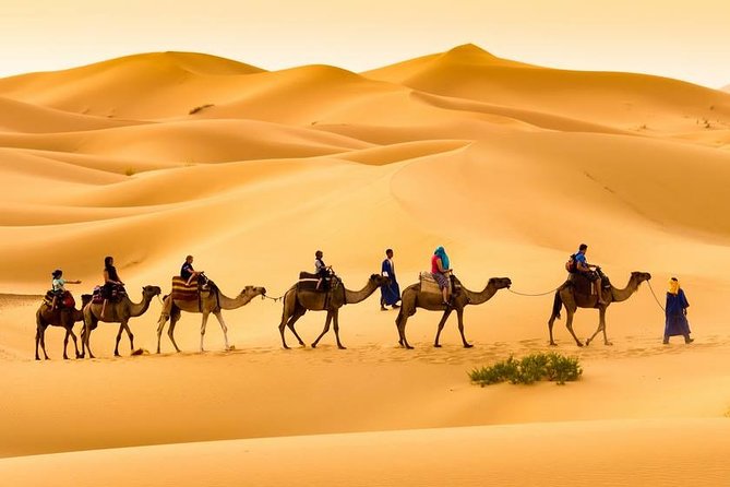 Merzouga 3-Days Desert Tour From Marrakech - Discovering Ouarzazates Film Studios