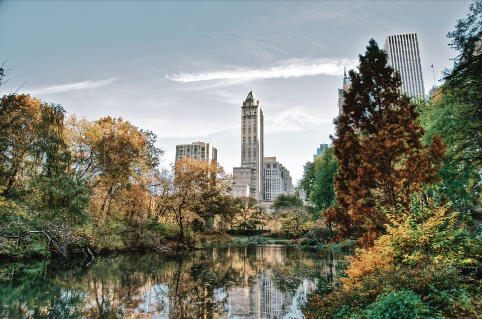 MET + Central Park Combo Tour - Guided Tour Experience