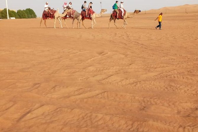 Morning Desert Safari With Sand Boarding and Dune Bashing - Cancellation and Payment Options