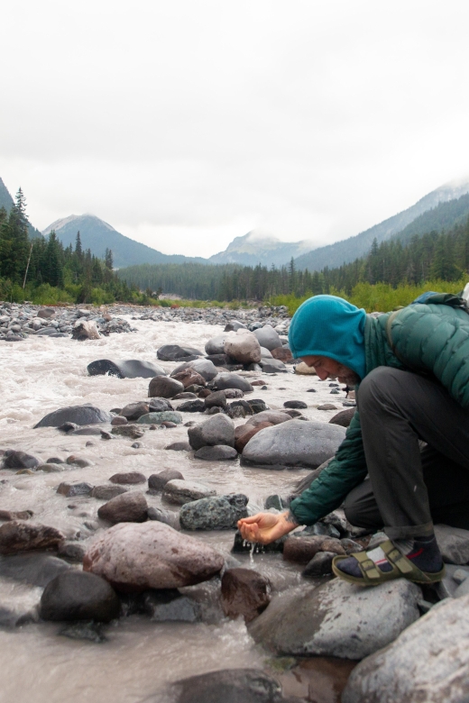 Mount Rainier Np: Full Day Private Tour & Hike From Seattle - Old-Growth Forests and Wildflowers