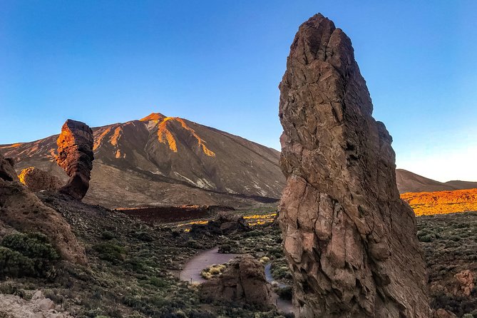 Mount Teide and Teno Country Park Private Tour - Luxury Electric Vehicle