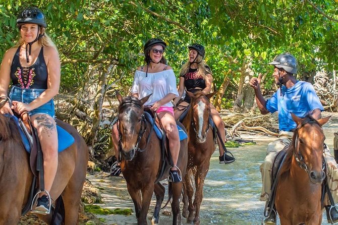 Mountain-To-Sea Horseback Ride and Swim at Sandy Bay - Booking and Pricing Information