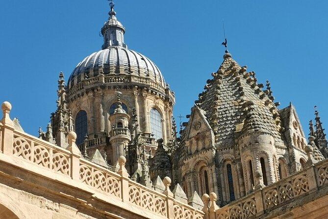 Must See Salamanca Walking Tour (Could Be Billingual) - Meeting and End Points