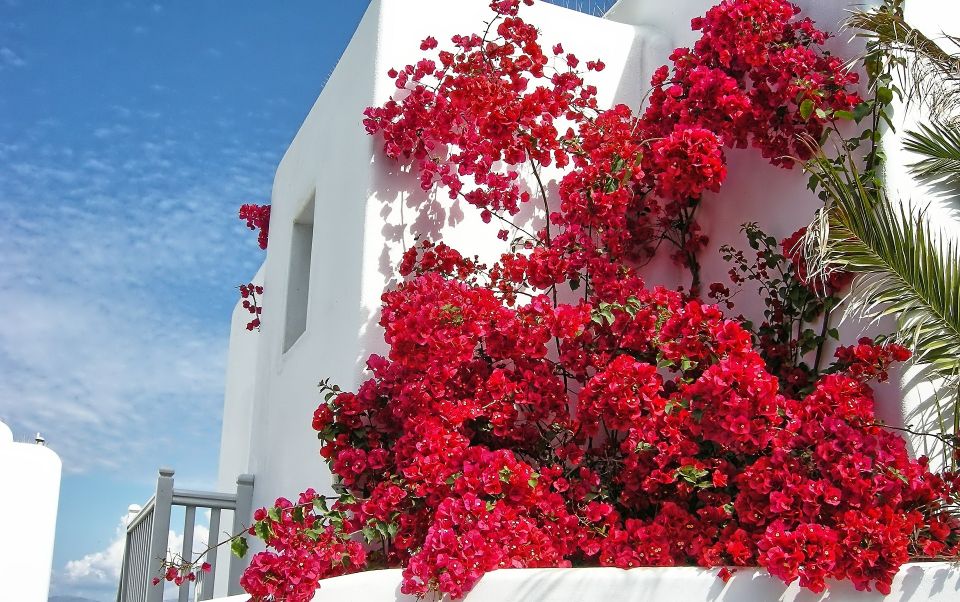 Mykonos: Delos and the City Walking Tour - The Ancient Roman Agora