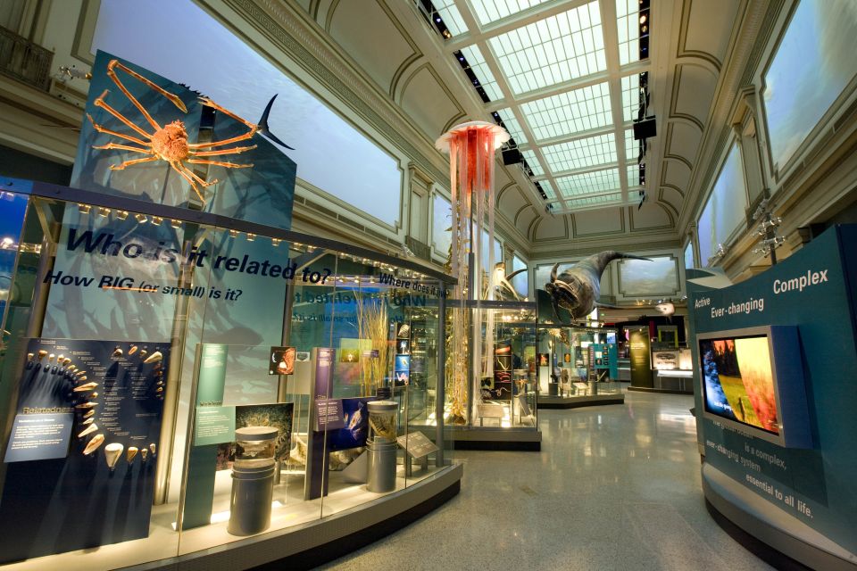 National Museum of Natural History Guided Tour - Tour Inclusions