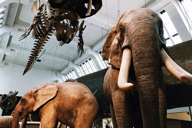 Natural History Museum London - Private Guided Museum Tour - Meeting and Ending Locations