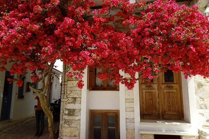 Naxos: Highlights of Naxos Day Tour - Traditional Olive Press