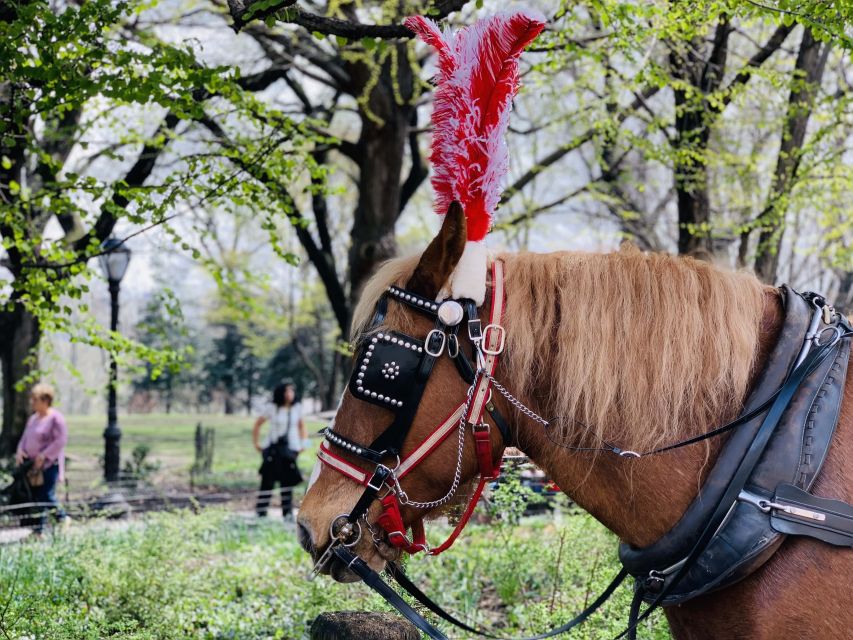 New York City: Central Park Private Horse and Carriage Tour - Iconic Central Park Sights