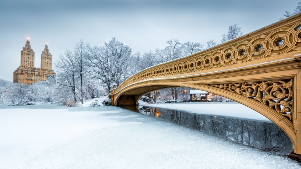 New York City: Horse and Carriage Rides in Central Park - Ideal for All Visitors