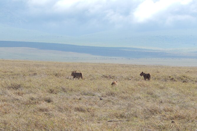 Ngorongoro Adventure Day Tour From Arusha - Accessibility Considerations