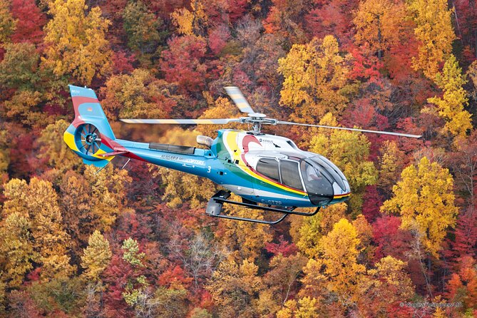 Niagara Falls CANADA Helicopter Tour - Details About the Airbus H130 Helicopter