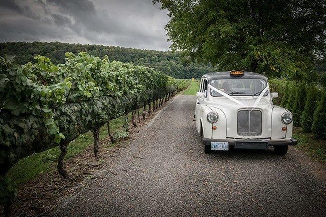 Niagara-On-The-Lake Wine Tour With Lunch -Private Tour in Classic English Cab - Indulge at Caroline Cellars Winery