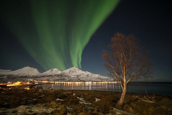 Northern Lights Chase by Bus in Tromso - Weather Dependency and Refunds