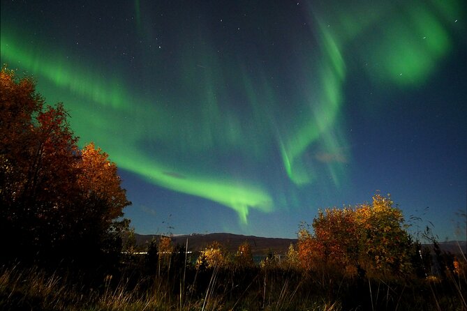 Northern Lights Tour With Alta Adventure - Learning About Culture