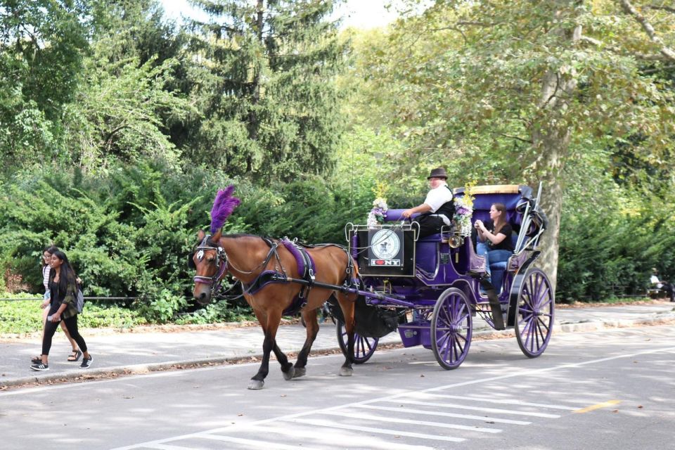 NYC Horse Carriage Ride in Central Park (65 Min) - Meeting Point and Arrival