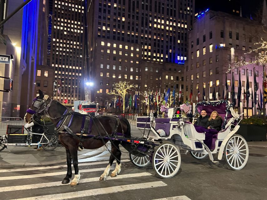 Nyc: Private Central Park Horse Carriage Ride With Guide - Policies