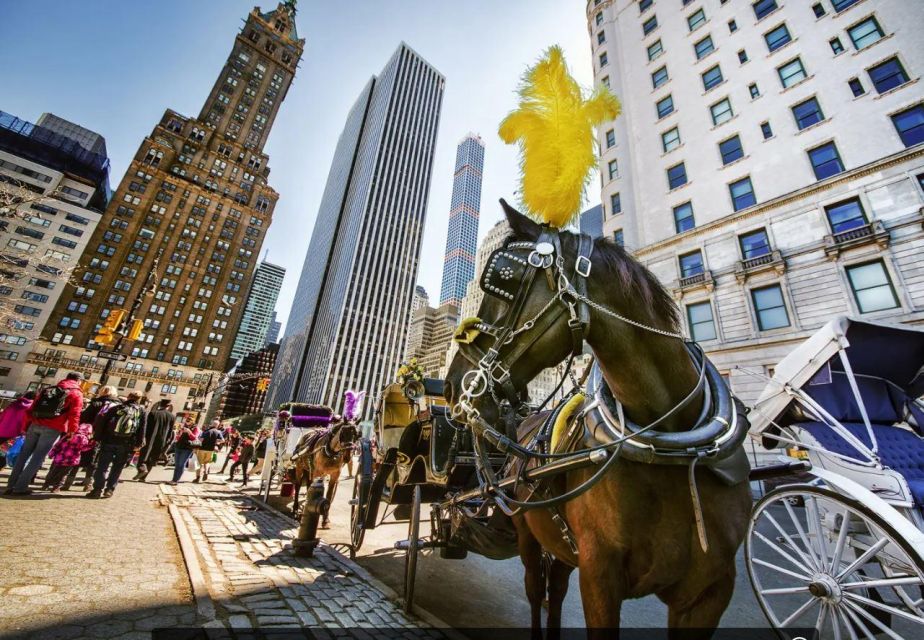 NYC:Guided Central Park Horse Carriage Ride - Customer Feedback