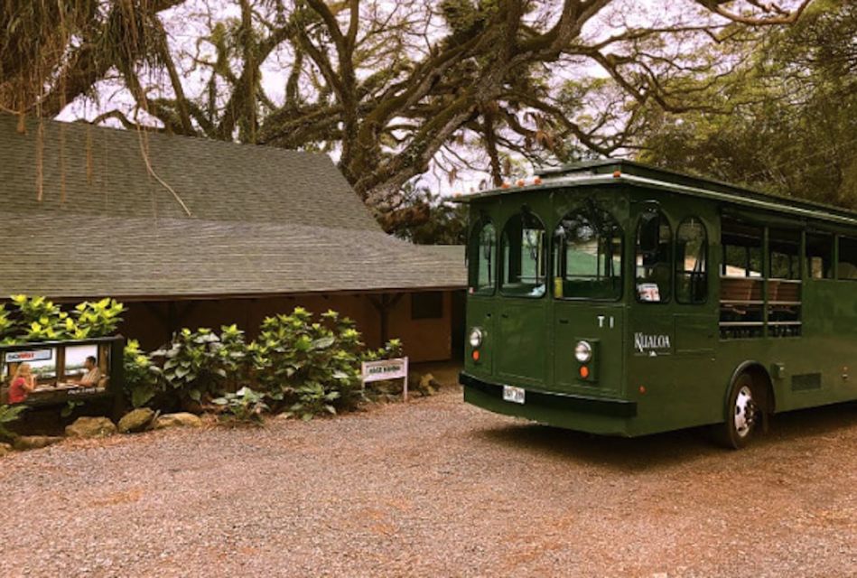 Oahu: Kualoa Movie Sites, Jungle, and Buffet Tour Package - Discovering Movie Filming Locations