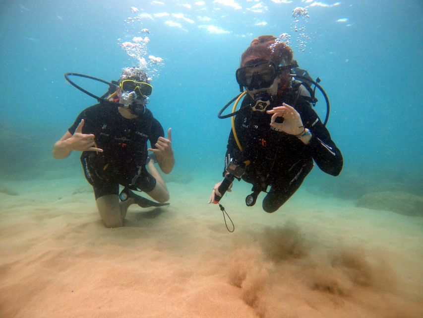 Oahu: Scuba Diving Lesson for Beginners - Restrictions and Requirements