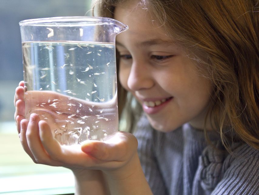 Oberhausen: SEA LIFE Ticket and Behind the Scenes Tour - Exploring the Shark Breeding Tank