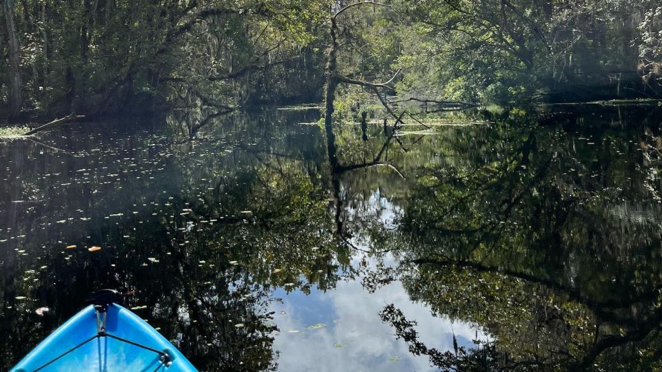 Old Florida Backwater Kayak Adventure Near St. Augustine - Wildlife and Experience