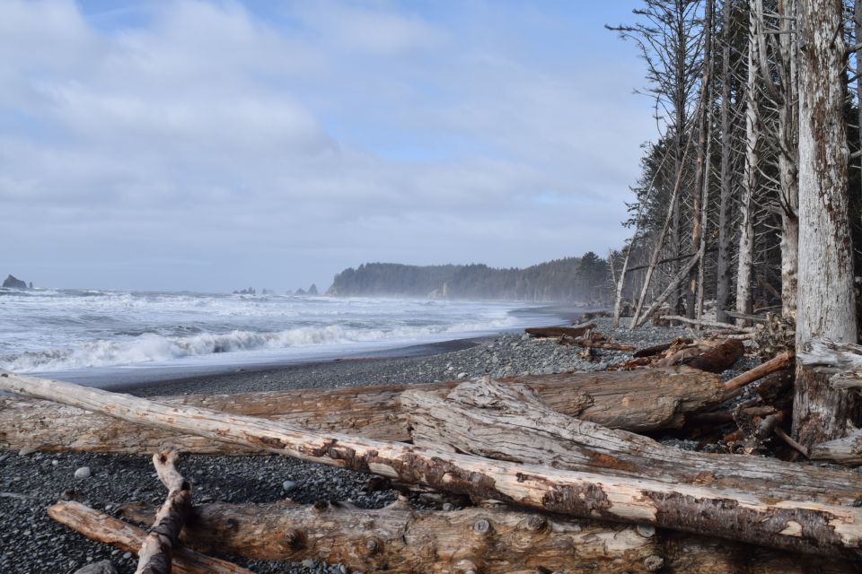 Olympic National Park: Hoh Rain Forest and Rialto Beach Tour - Itinerary