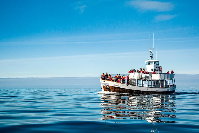 Original Carbon Neutral Whale Watching Tour From Húsavík - Cancellation Policy and Refunds