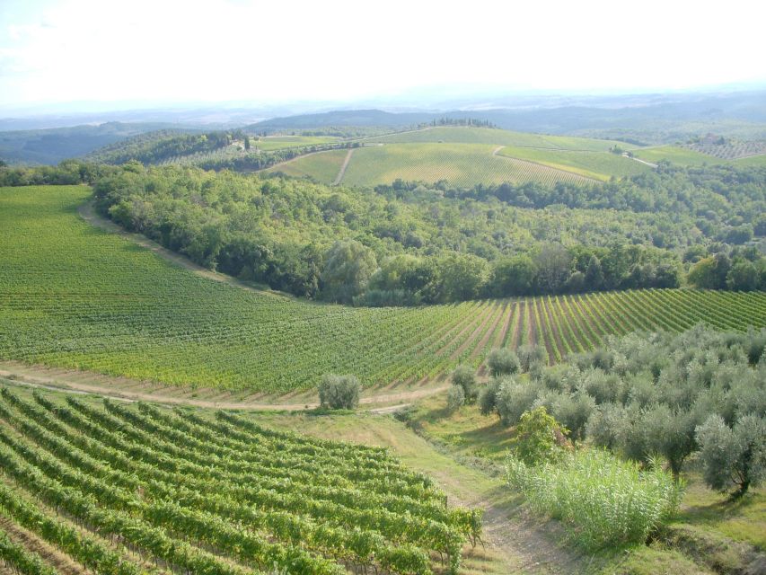 Orvieto & Civita Di Bagnoregio Private Tour From Rome - Tasting Umbrian Culinary Delights