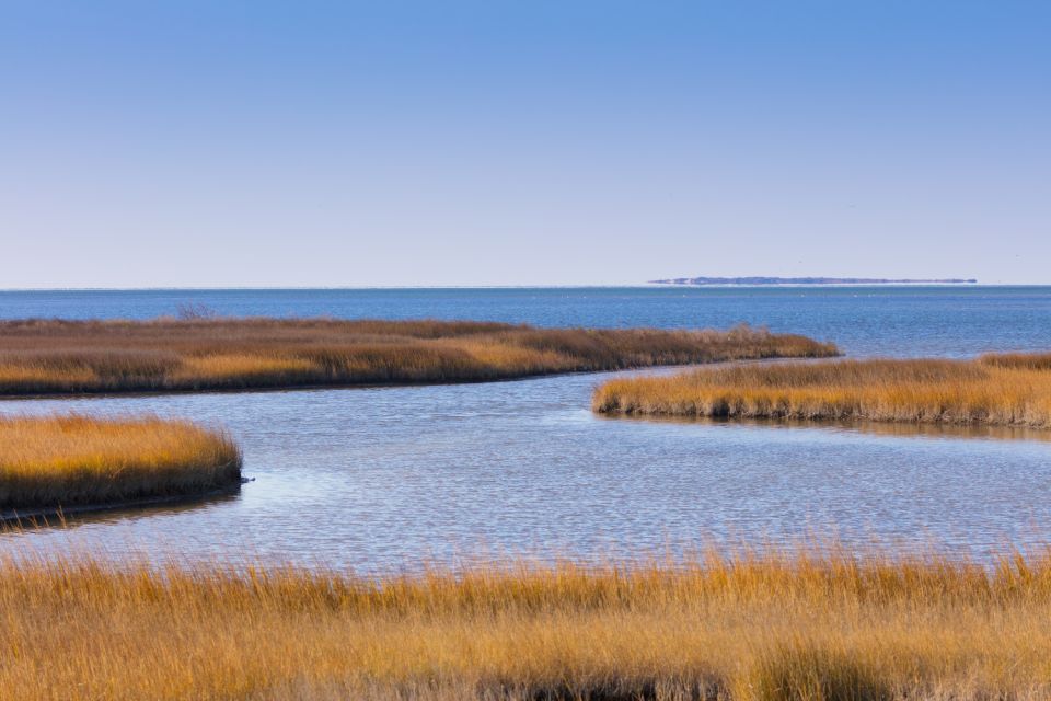 Outer Banks & Cape Hatteras Seashore Self-Guided Drive Tour - Tour Features