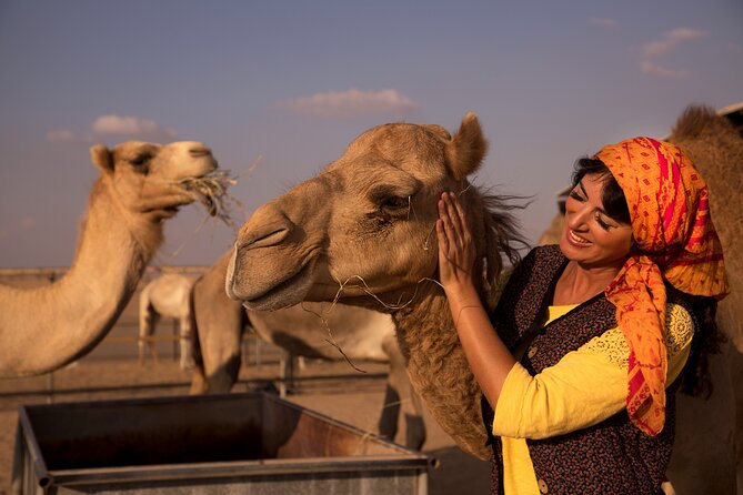 Overnight Camel Caravan With BBQ Dinner and Arabic Breakfast - Dunes Bashing and Sandboarding (Optional)