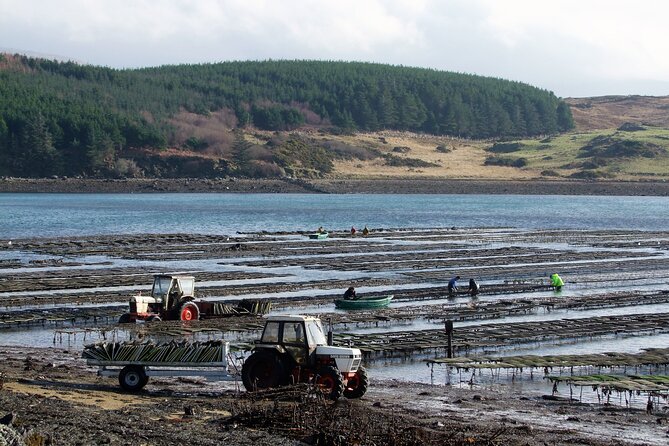 Oyster Farm and Tasting Experience - Inclusions in the Tour