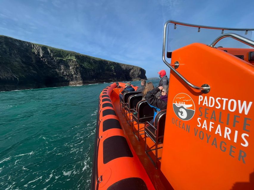 Padstow: Guided RIB Sealife Safari - Nesting Seabirds