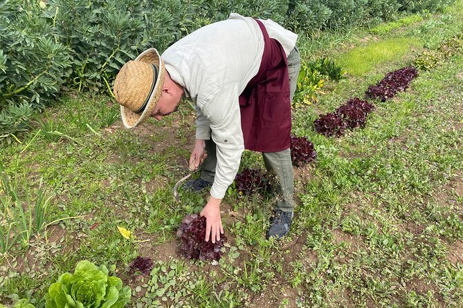 Paella Workshop in Our Farmhouse - Guidance From Expert Instructors