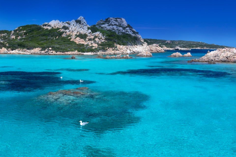 Palau: LUXURY BOAT TOUR National Park of La Maddalena - Destination Highlights