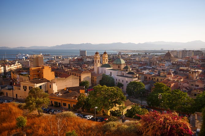 Panoramic and Old Cagliari Tour - Spotting Pink Flamingos