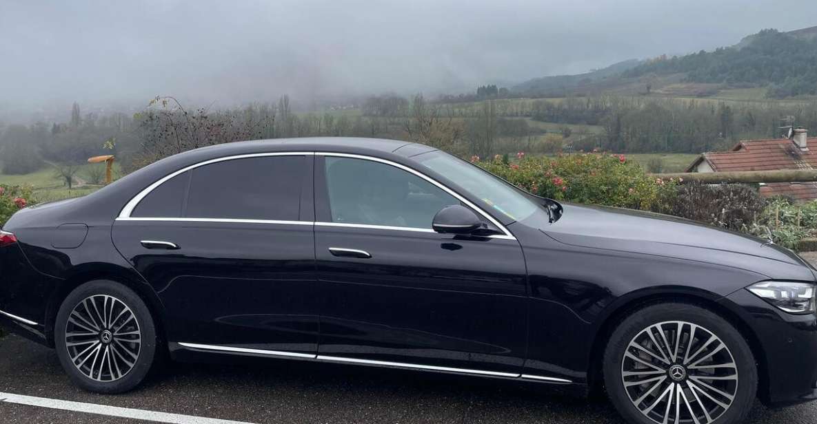 Paris : Luxury Private Transfer to Disneyland - Customized Guidance