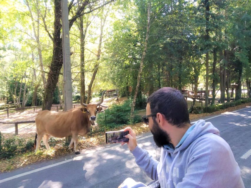 Peneda-Gerês: Full-Day Premium Tour - Lunch in a Traditional Restaurant